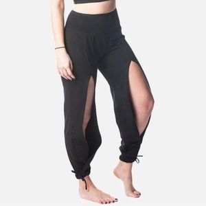 Namastetics Pointe Pant (yoga pants)
